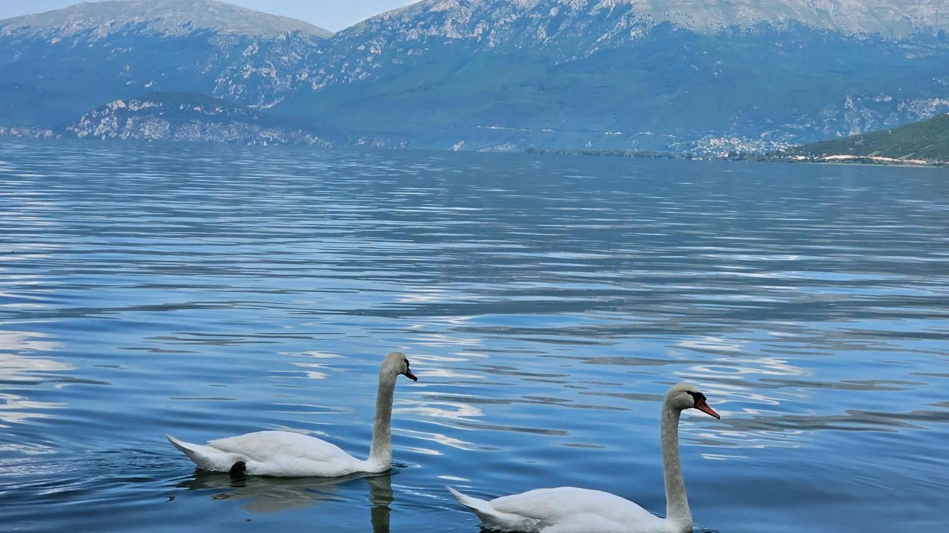 Hotel Enkelana Pogradec Albânia